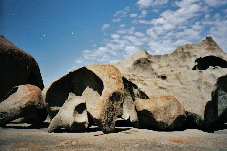 Kangaroo Island - Austrália em família Kangaroo Island - Austrália em família