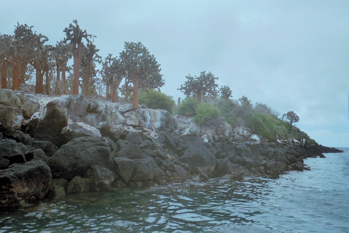 Galápagos: Ilhas do norte Galápagos: Ilhas do norte
