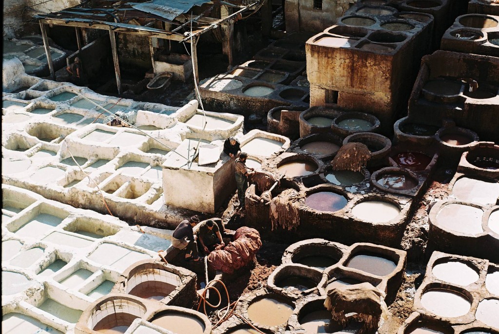 Fez, Marrocos - África, uma constante descoberta da natureza