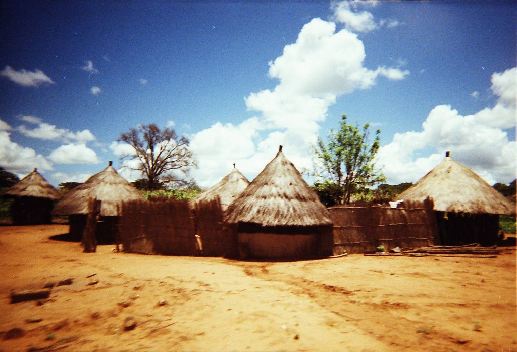 Parque Nacional de Mana Pools, Zimbábue - África, uma constante descoberta da grandiosidade da natureza