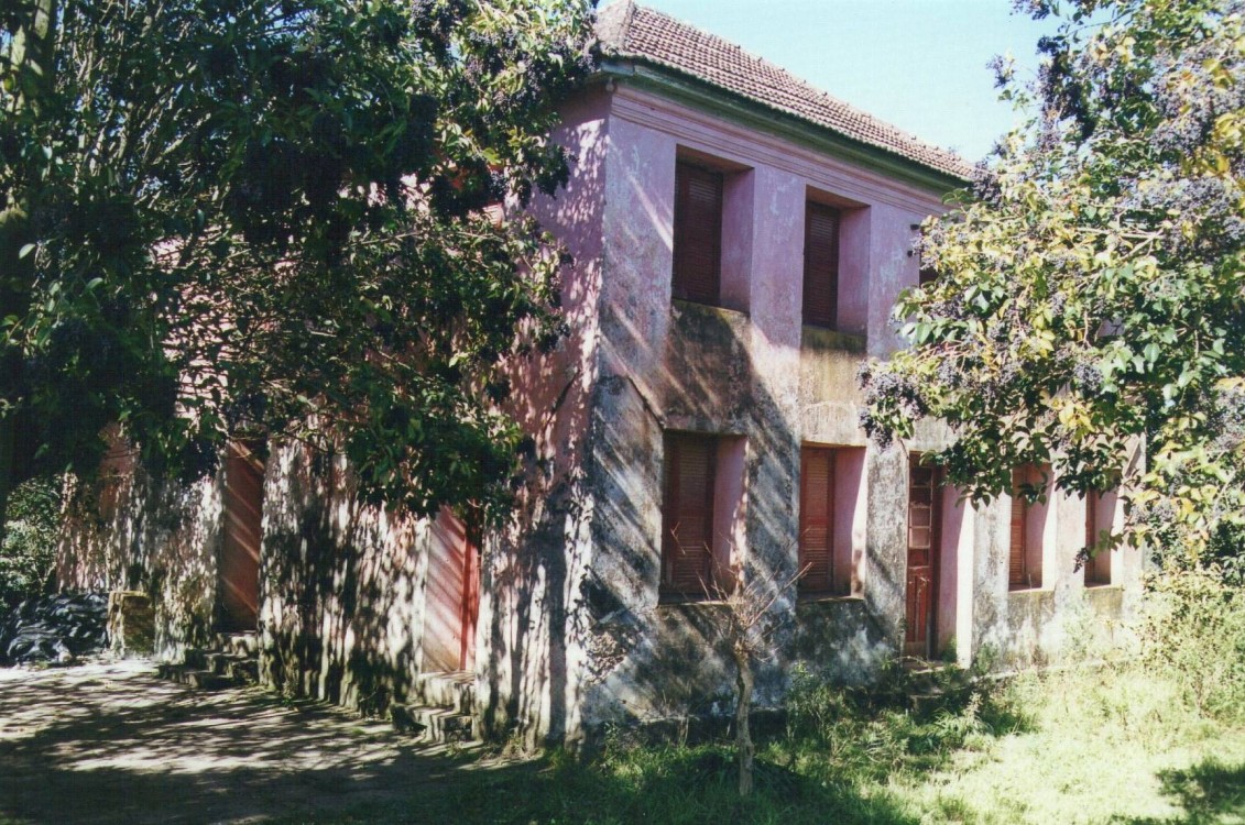 Bento Gonçalves: o fascínio da vindima Bento Gonçalves: o fascínio da vindima