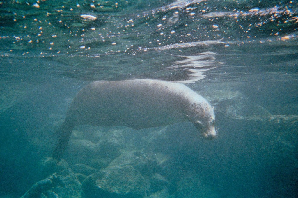  Viagens que podem mudar sua vida: Galápagos, Equador