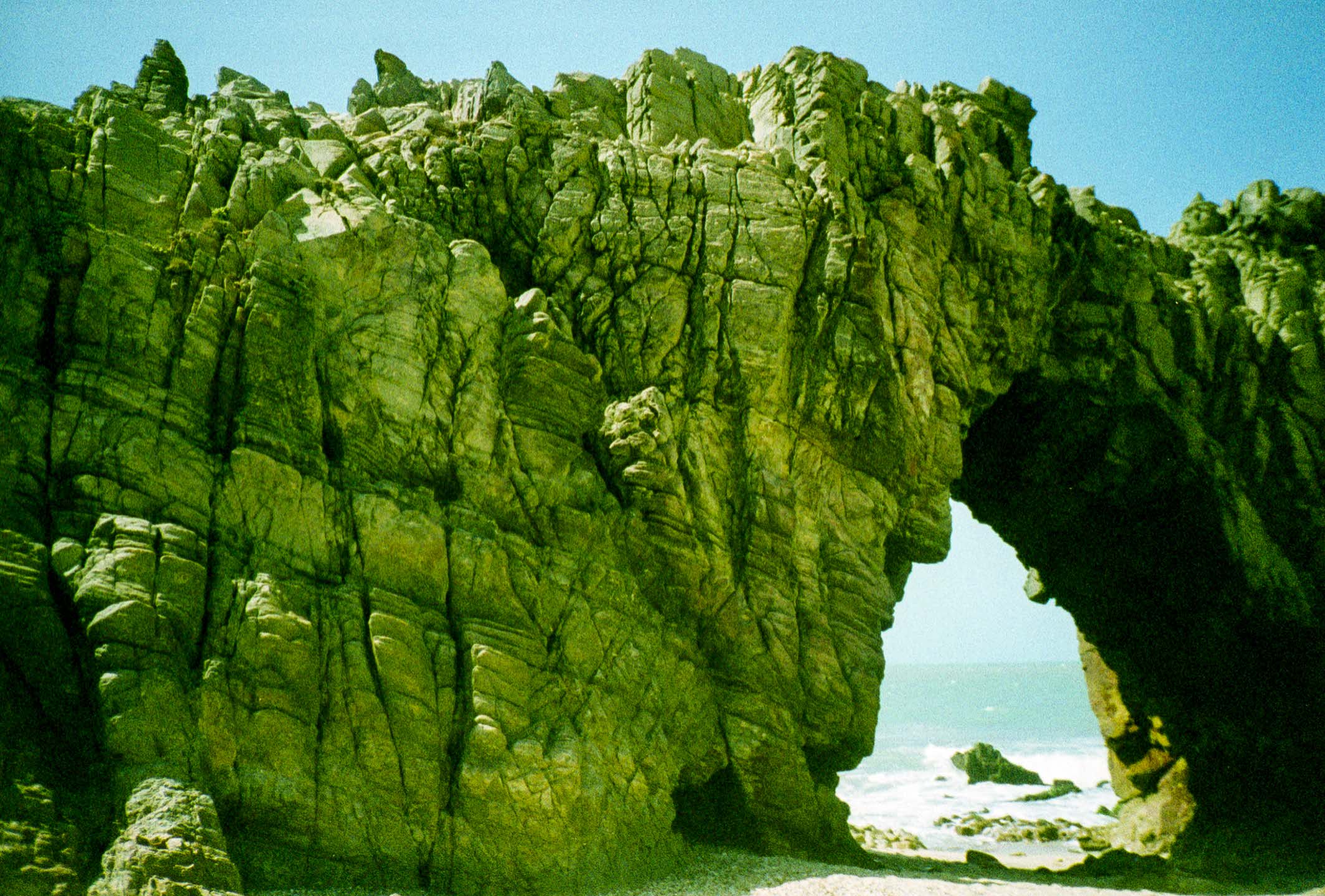 O paraíso ecológico de Jericoacoara