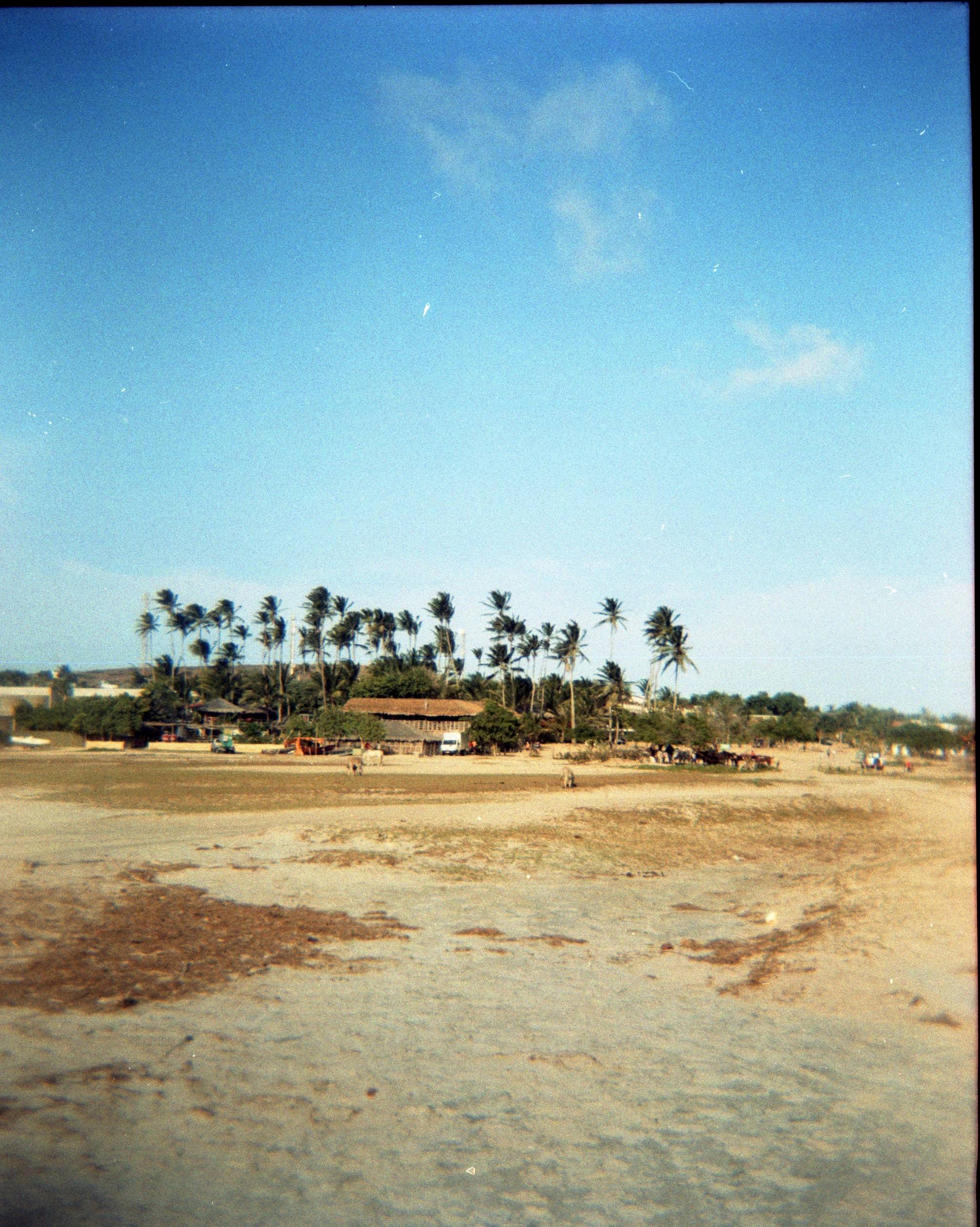 O paraíso ecológico de Jericoacoara