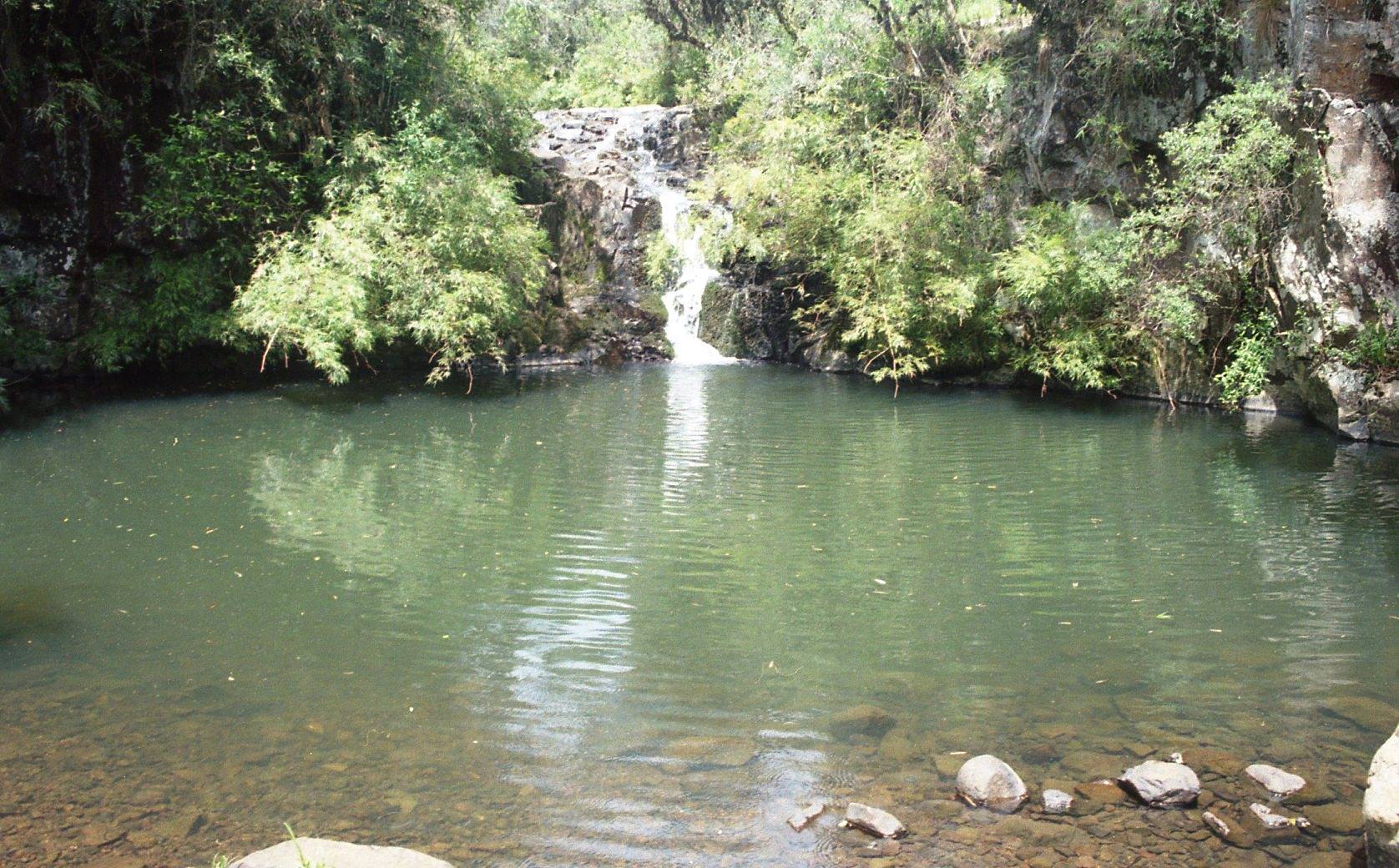 Serra Catarinense: a rara beleza das montanhas