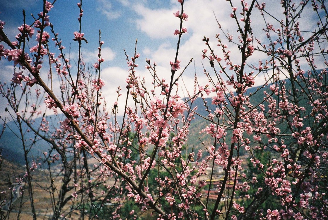 A beleza intocada do Butão - Thimphu A beleza intocada do Butão - Thimphu