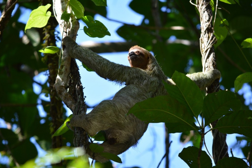 Destinos para lua de mel: Costa Rica