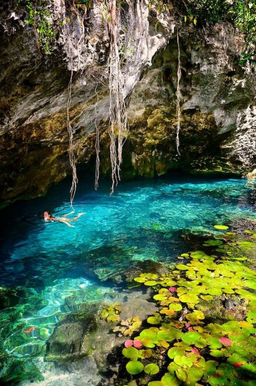 Bem vindo à ‪‎Tulum‬! O melhor destino turístico do mundo segundo o TripAdvisor Travellers’ Choice 2016.