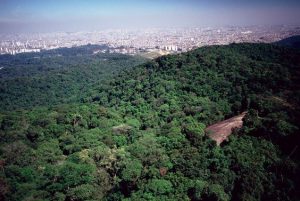 Sao Paulo - Parque