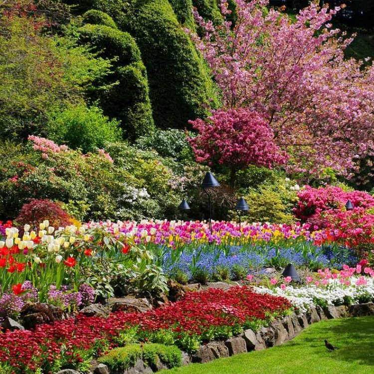 Fizemos uma lista dos jardins mais lindos do mundo. Quer conhecer?