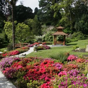 Ireland - Powerscourt Garden