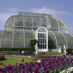 Londres - Kew Botanical Garden