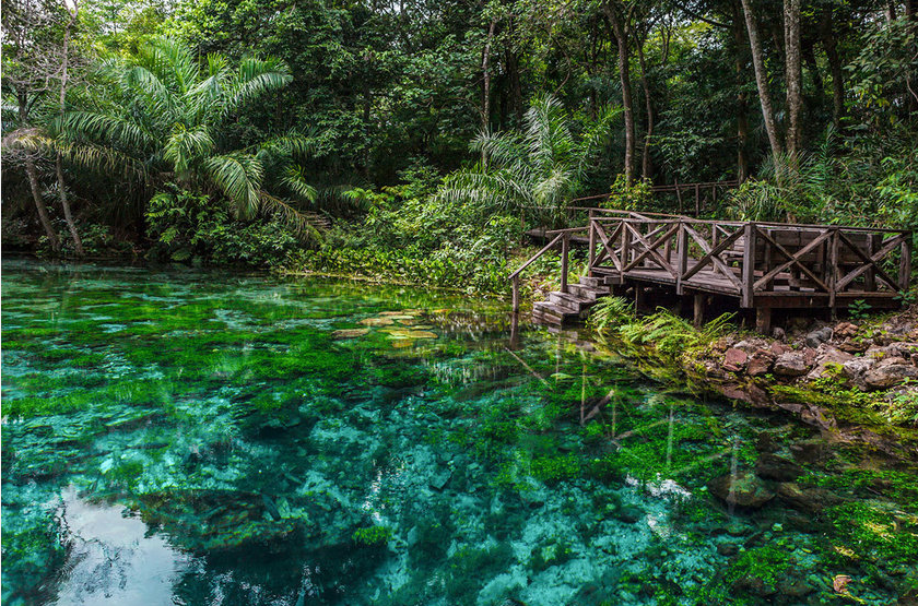 Os melhores destinos de ecoturismo de Brasil