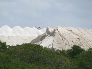 galinhos-salina