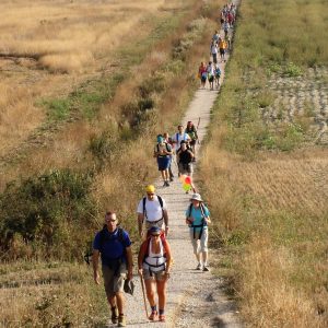 camino-santiago-1180770_1280