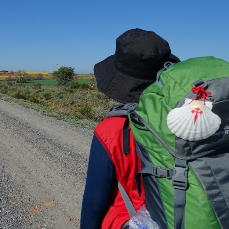 Os Caminhos de Santiago.